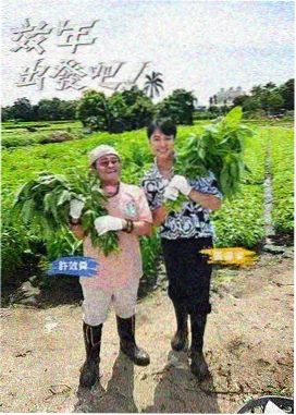 95影视音乐综艺唱作人周末